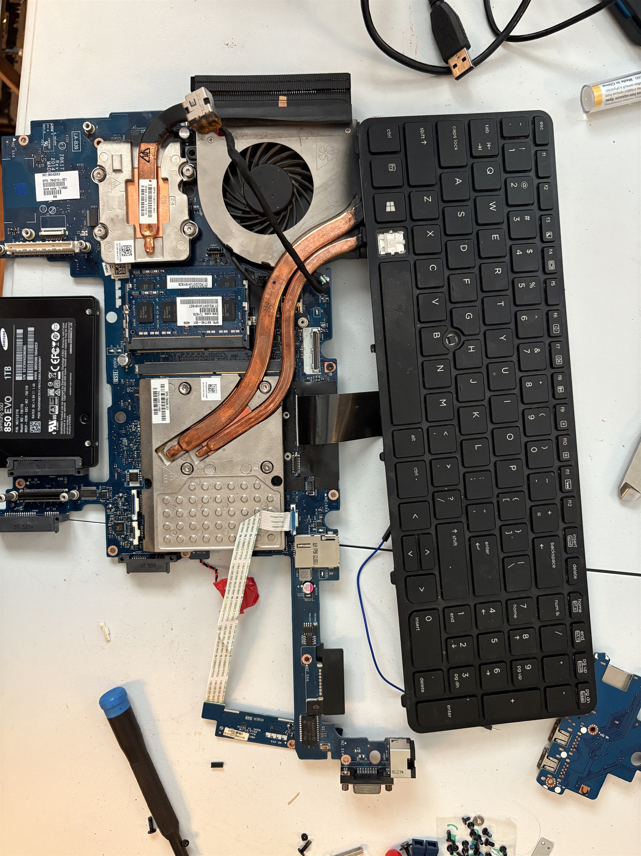 dead server5